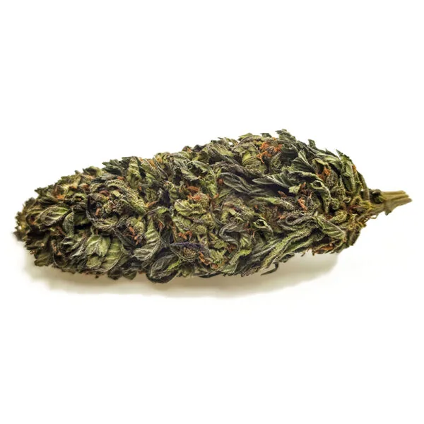 BUBBLE-GUM-SUSZ-KONOPNY-CBD-12