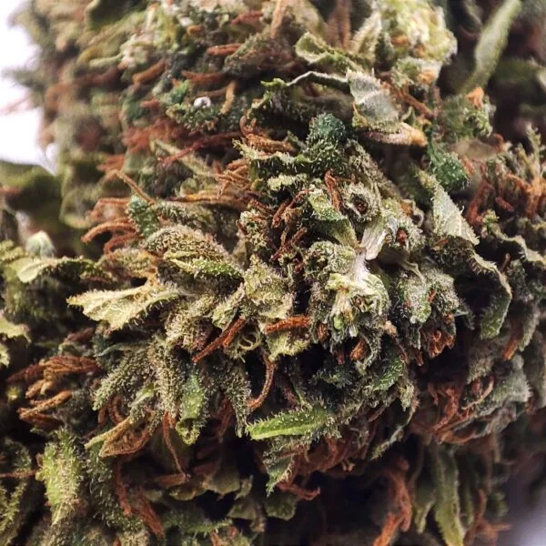 CALIFORNIA-HAZE-SUSZ-KONOPNY-CBD-10-MAKRO