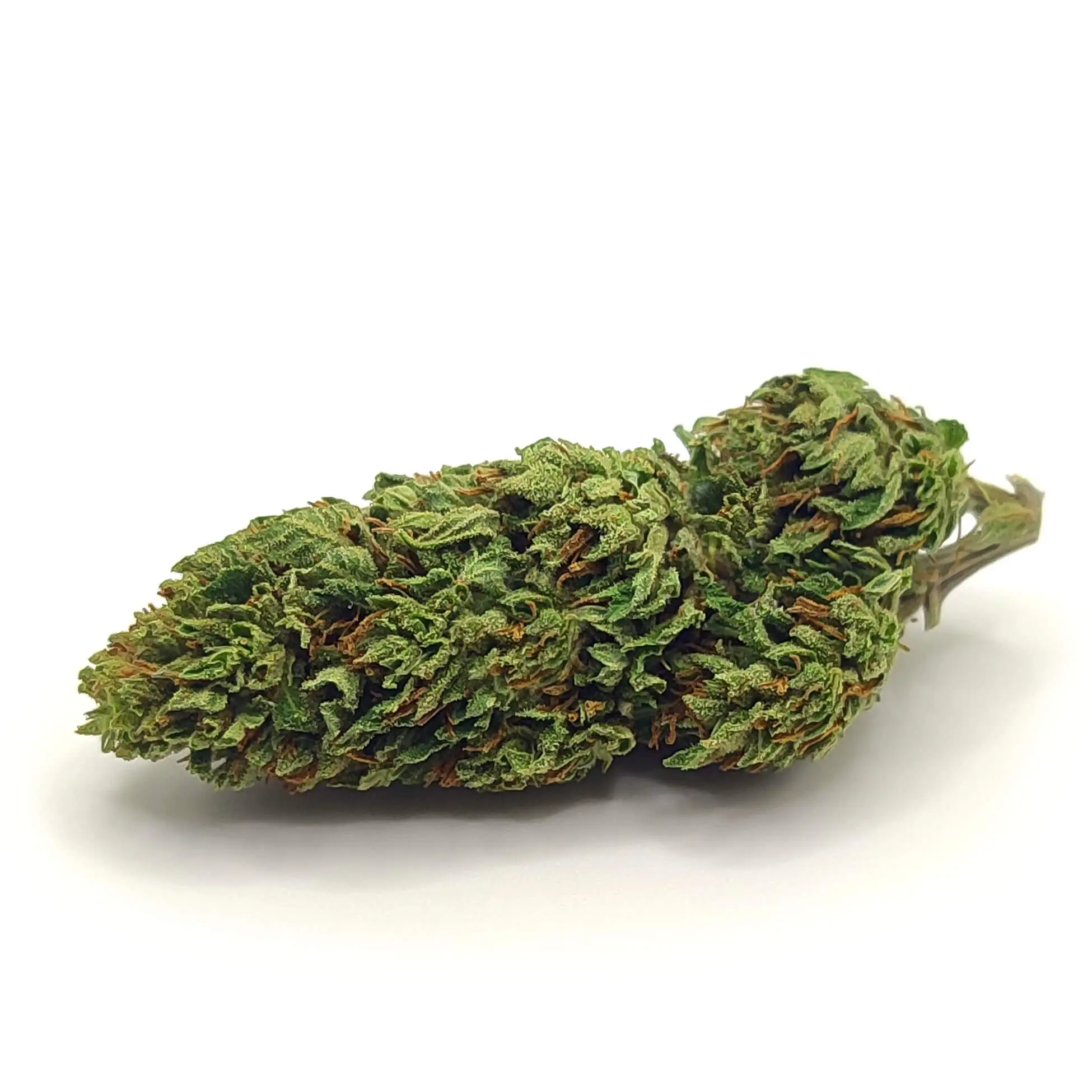 SUSZ-KONOPNY-CBD-SUPER-LEMON-1