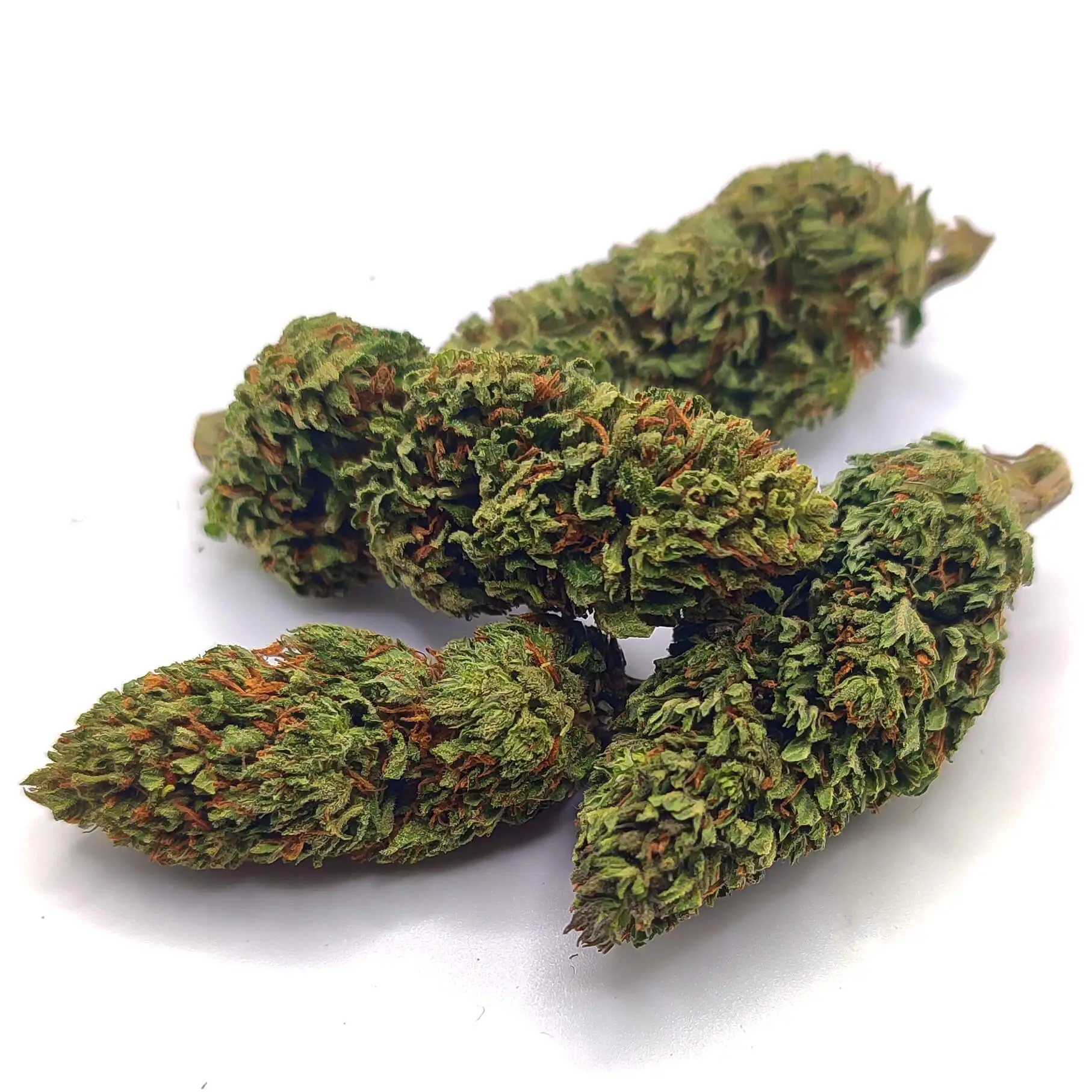 SUSZ-KONOPNY-CBD-SUPER-LEMON-2