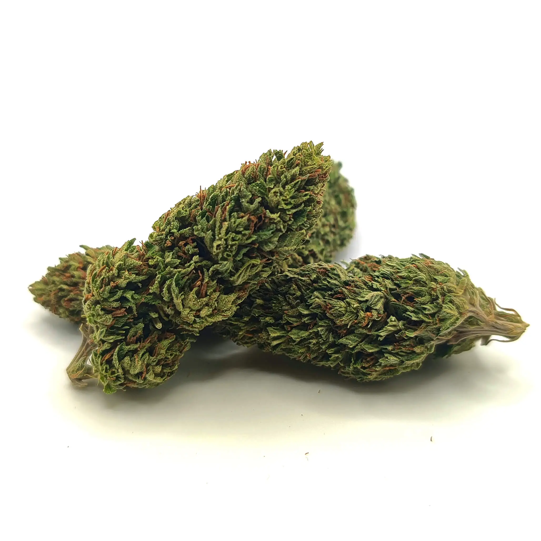 SUSZ-KONOPNY-CBD-SUPER-LEMON-3