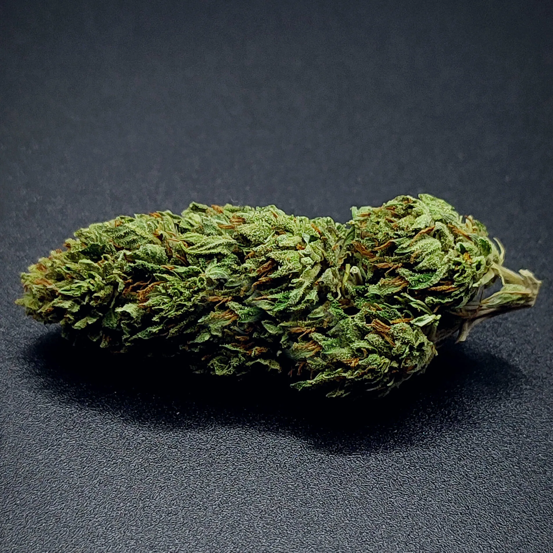 SUSZ-KONOPNY-CBD-SUPER-LEMON-CZARNE-TLO