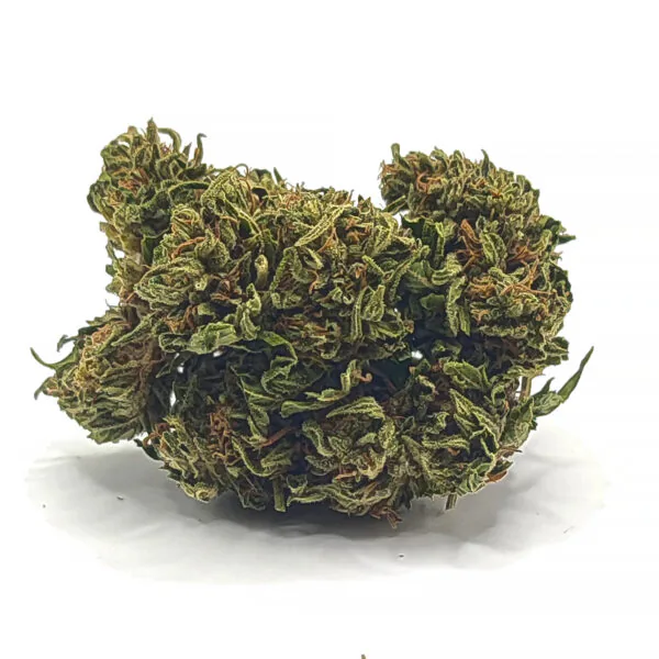 buddha top2