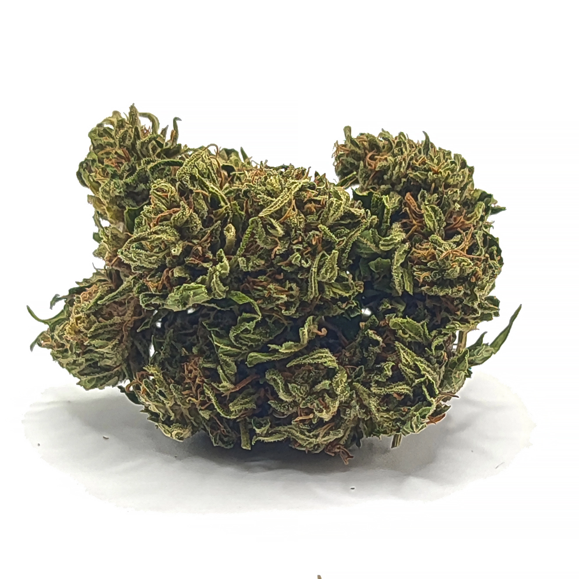 buddha top2