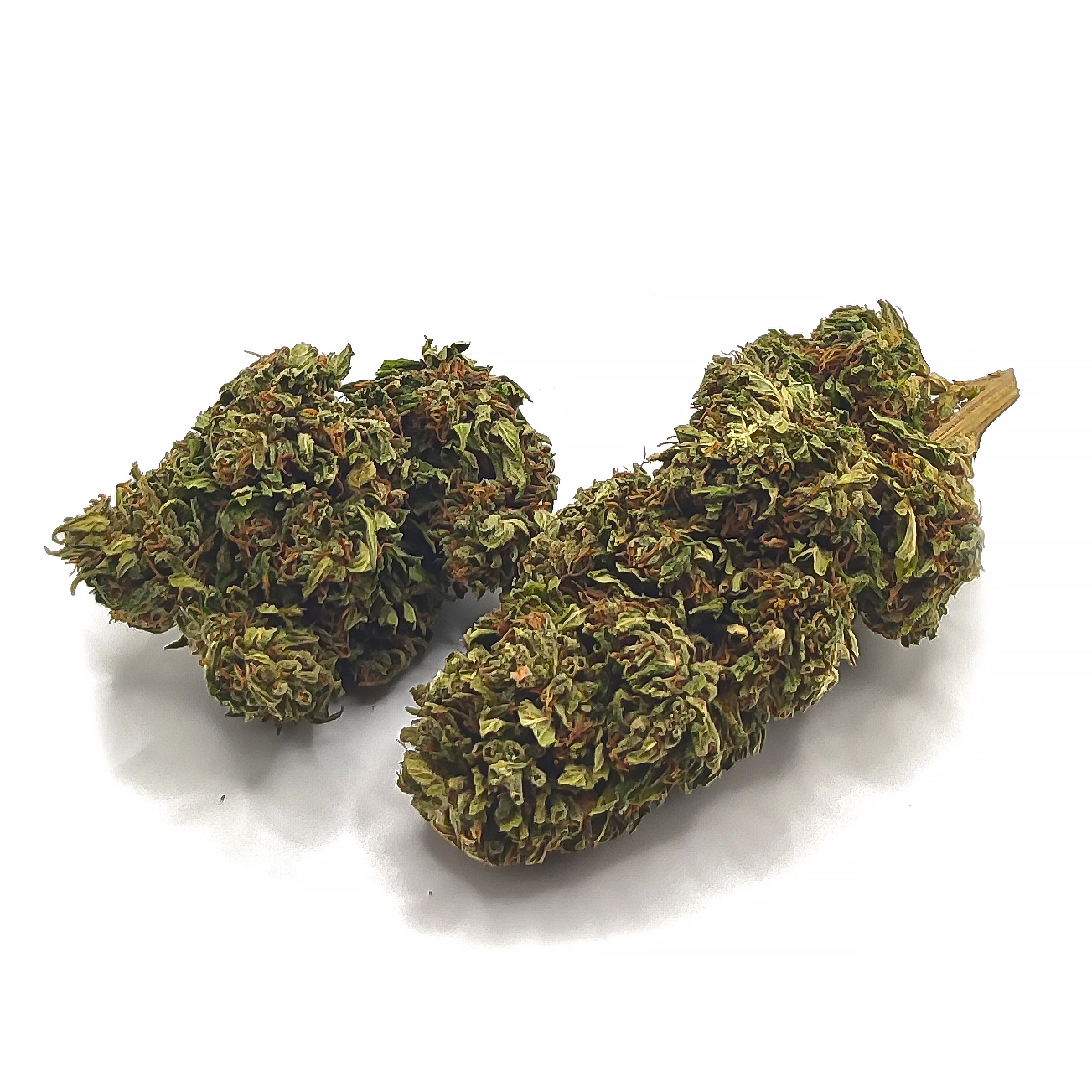 buddha top3