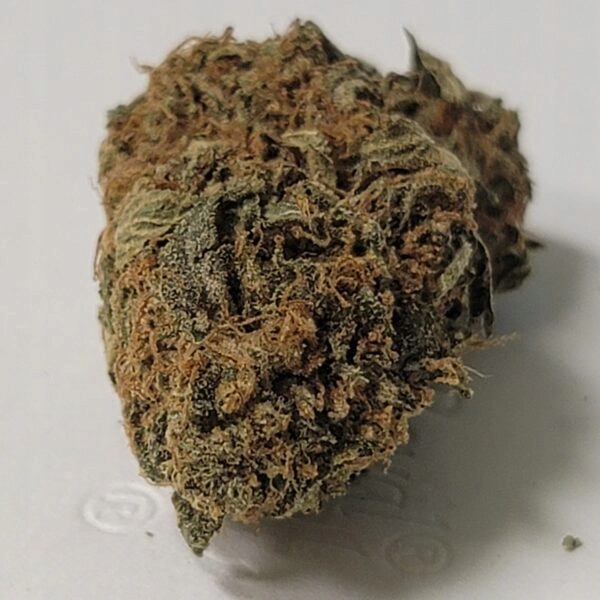 SUSZ KONOPNY CBD BOSKIE ZIELE VISHNU <45% CBD 0,3% THC